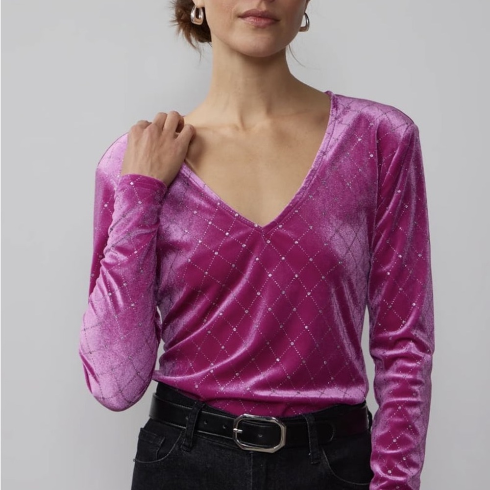 NWT New York & Company Pink Velvet Women's Top